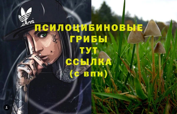 mdpv Арсеньев