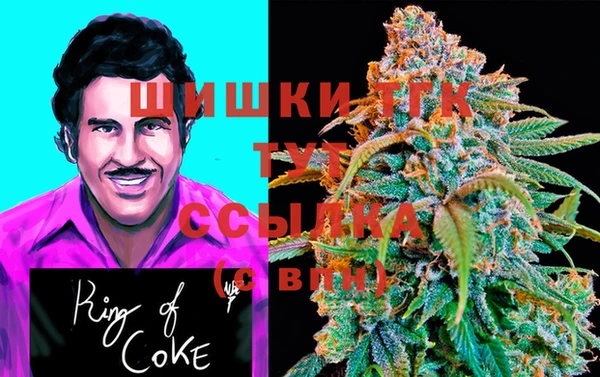 PSILOCYBIN Покров