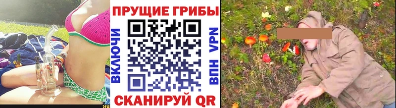 Псилоцибиновые грибы прущие грибы  где купить наркоту  KRAKEN онион  Семёнов 