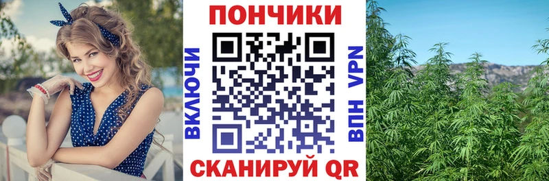 мега маркетплейс  Семёнов  Шишки марихуана AK-47  купить  сайты 